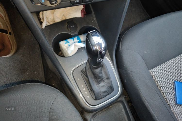 Volkswagen Polo 2017 car image #16