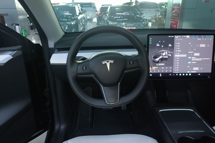 Tesla Model Y 2023 car image #11
