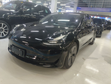 Tesla Model 3 2021 Tesla Model 3 2021 car image