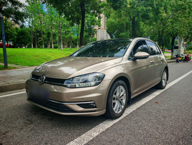 Volkswagen Golf 2019 Volkswagen Golf 2019 car image