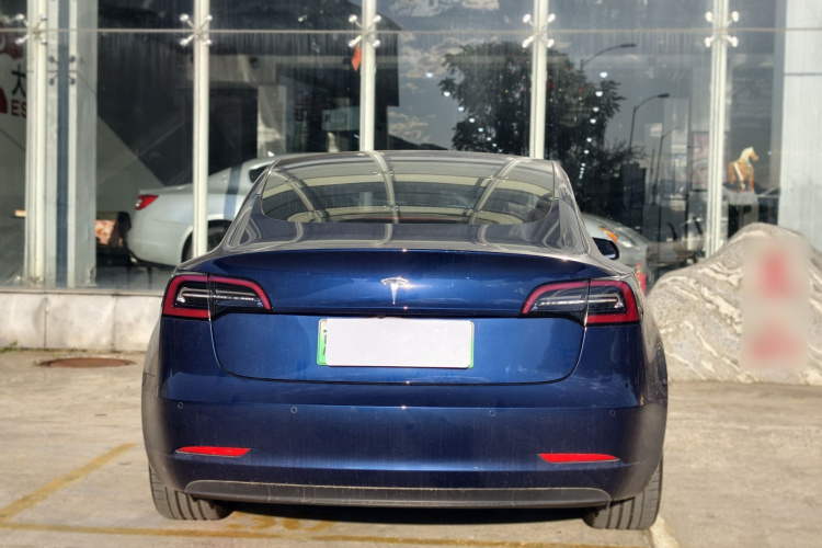 Tesla Model 3 2020 car image #6