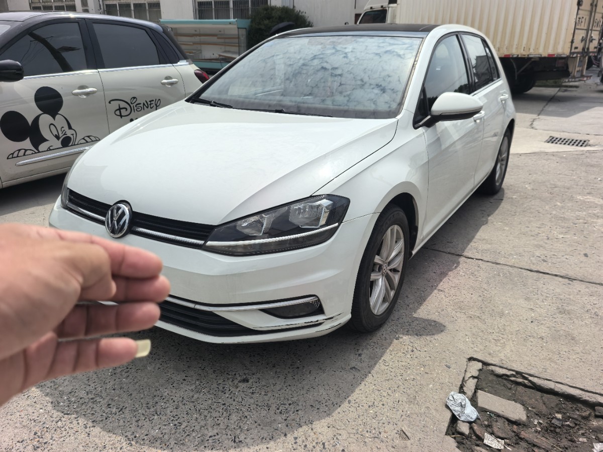 Volkswagen Golf 2019 Volkswagen Golf 2019 car image