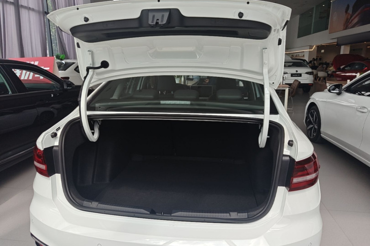 Volkswagen Lavida 2024 car image #19