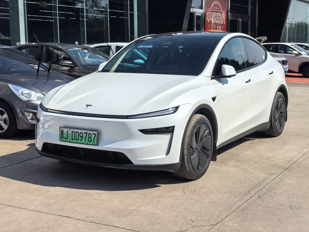 Tesla Model Y 2025 Tesla Model Y 2025 car image