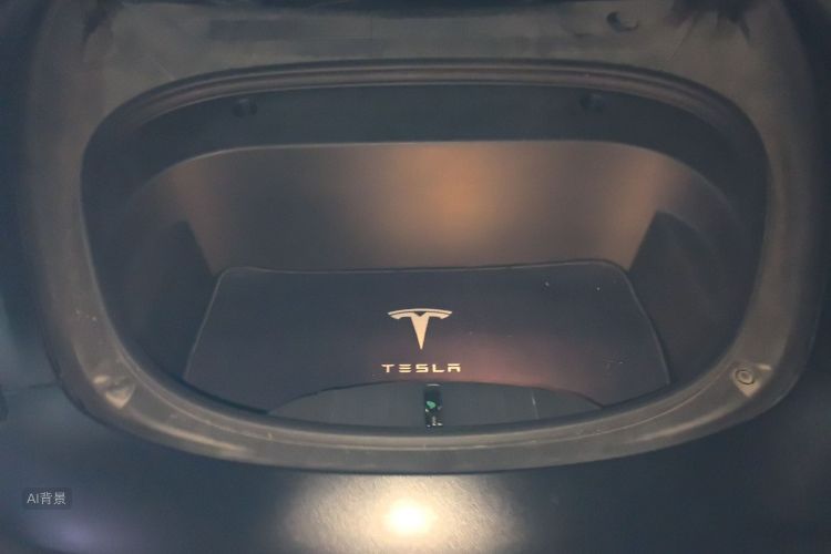 Tesla Model 3 2021 imagem de carro #22