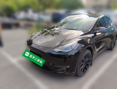 Tesla Model Y 2023 Tesla Model Y 2023 car image