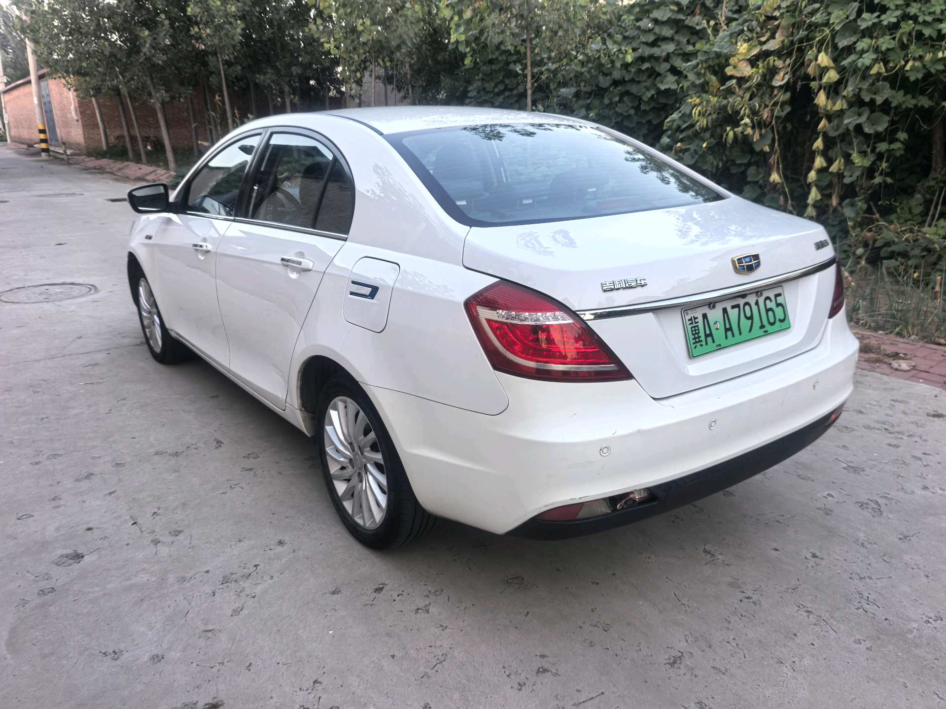 GEELY Emgrand New Energy 2016 car image #7