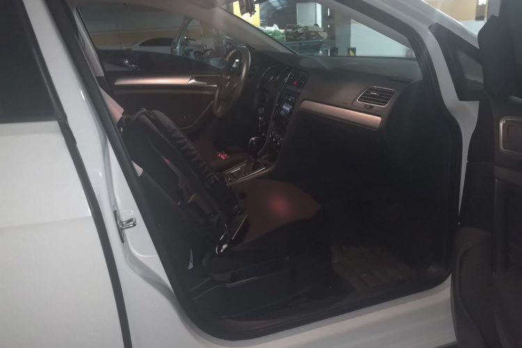 Volkswagen Golf 2019 car image #27