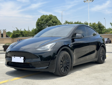 Tesla Model Y 2024 Tesla Model Y 2024 car image