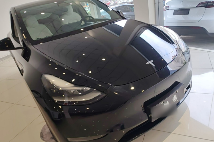 Tesla Model Y 2021 #4 Tesla Model Y 2021 car image #4