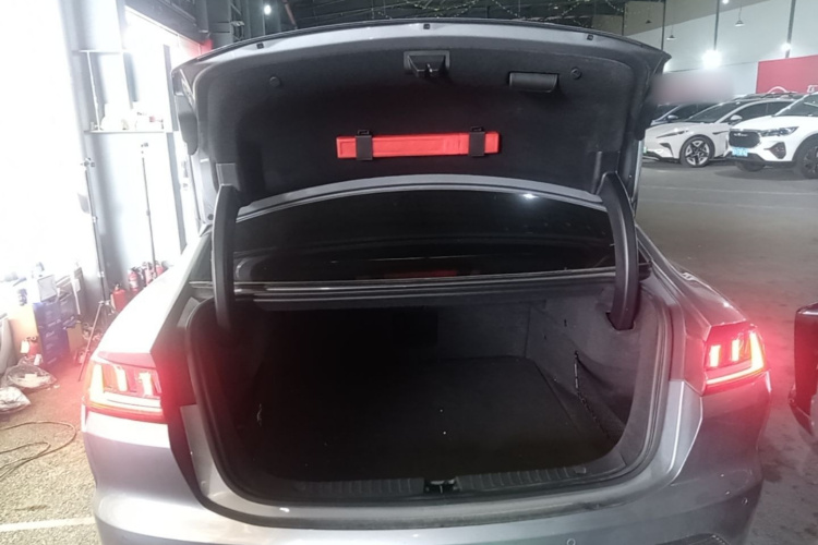 BYD Han 2020 #19 BYD Han 2020 immagine di auto #19