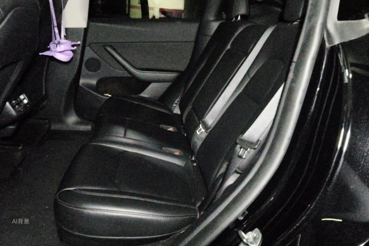 Tesla Model Y 2022 car image #19