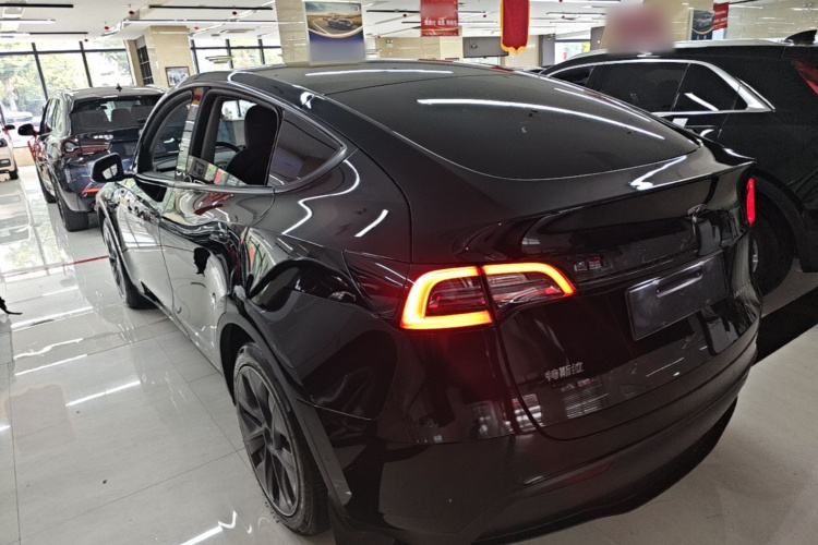 Tesla Model Y 2023 #5 Tesla Model Y 2023 car image #5