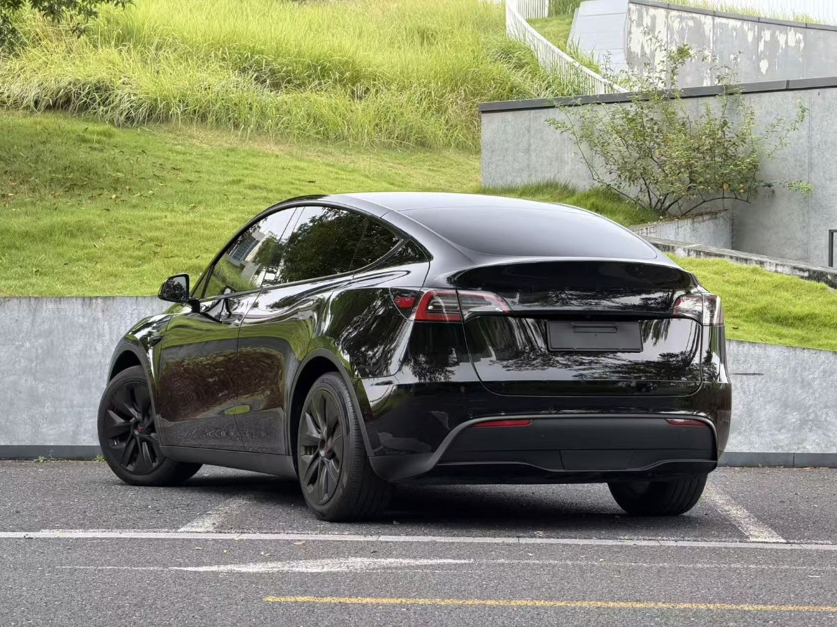 Tesla Model Y 2022 car image #5