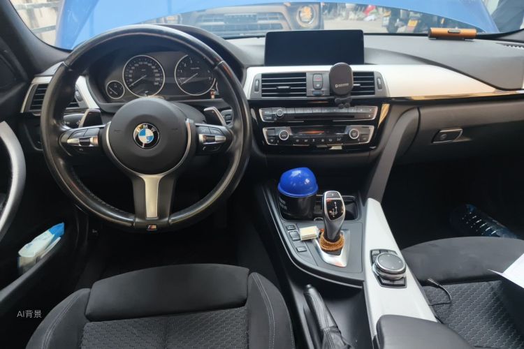 BMW 3 Series 2017 car image #11