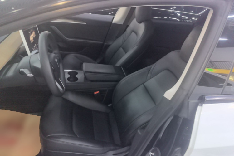 Tesla Model 3 2022 car image #15