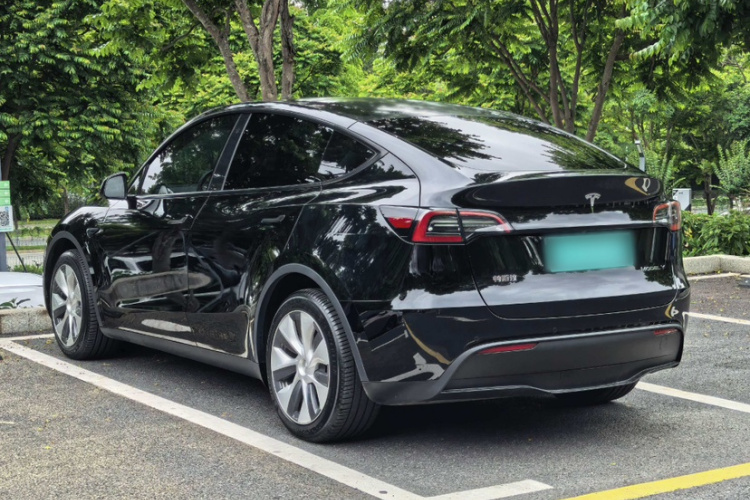 Tesla Model Y 2023 #5 Tesla Model Y 2023 car image #5