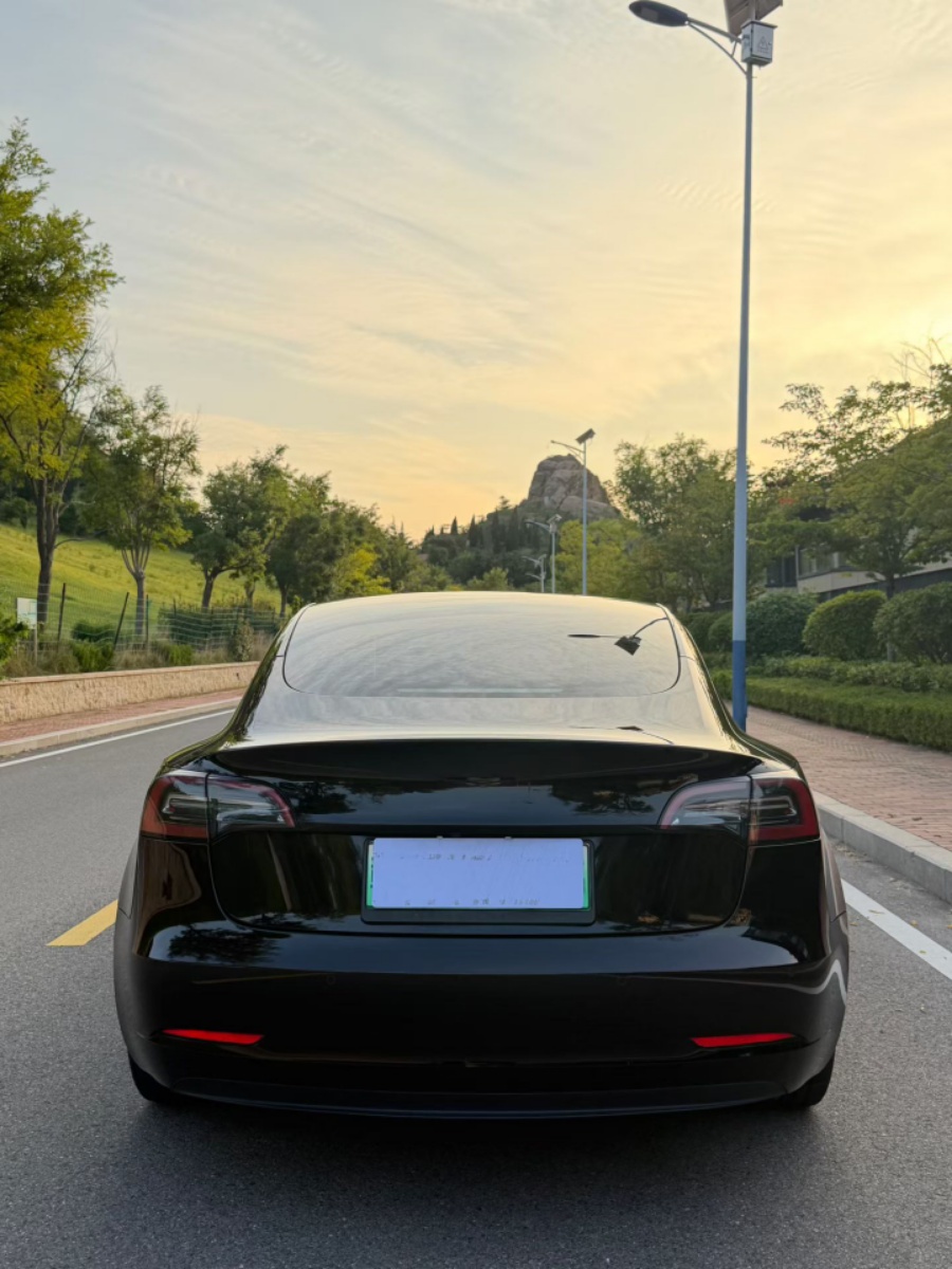 Tesla Model 3 2022 car image #8