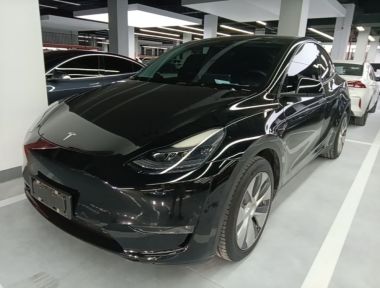 Tesla Model Y 2021 Tesla Model Y 2021 car image
