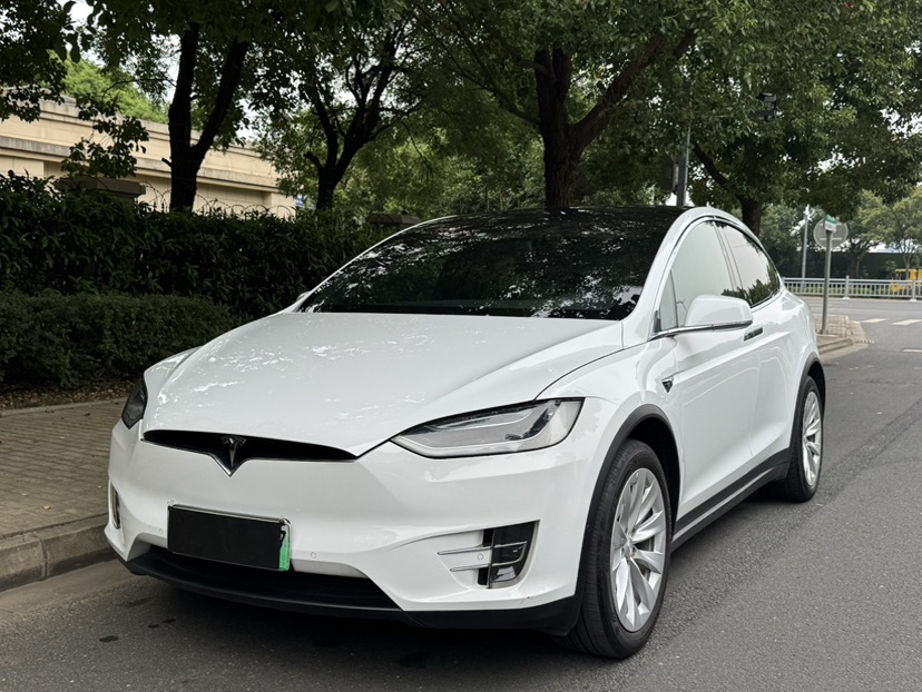 Tesla Model X 2017 car image 
