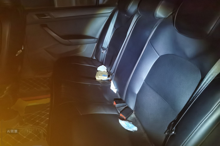 Volkswagen Santana 2022 car image #19