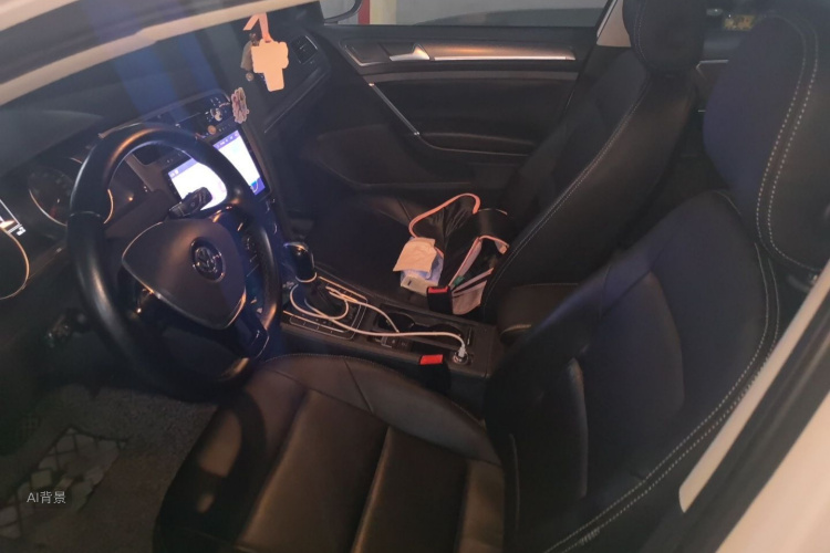 Volkswagen Golf 2017 car image #17