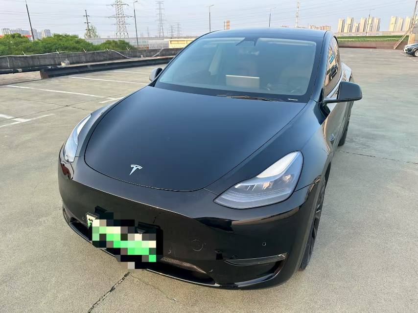 Tesla Model Y 2021 Tesla Model Y 2021 car image