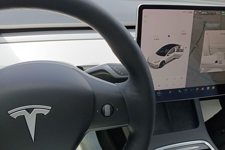 Tesla Model 3 2021 #14 Tesla Model 3 2021 car image #14