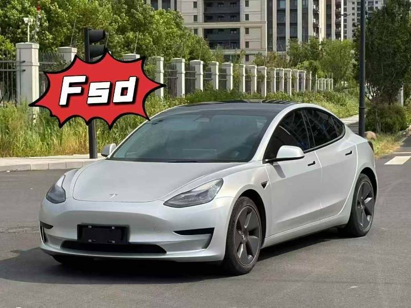 Tesla Model 3 2022 car image 