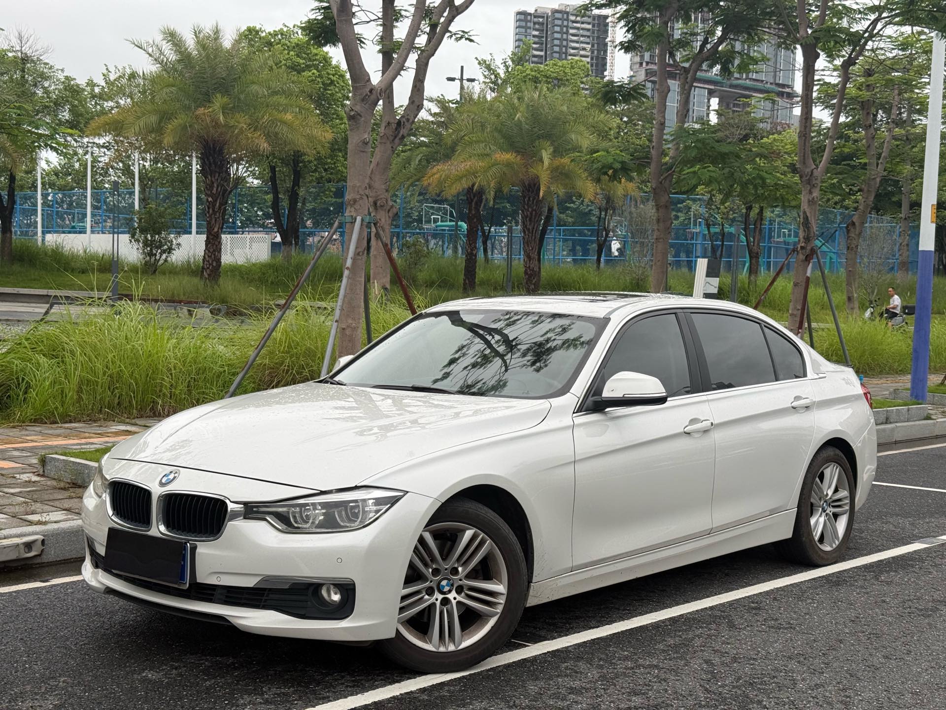BMW 3 Series 2016 BMW 3 Series 2016 car image