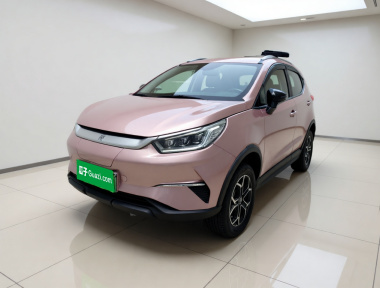 BYD Yuan Pro 2023 immagine di auto 