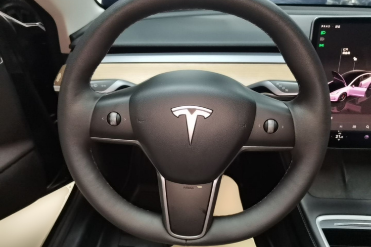Tesla Model 3 2022 immagine di auto #11