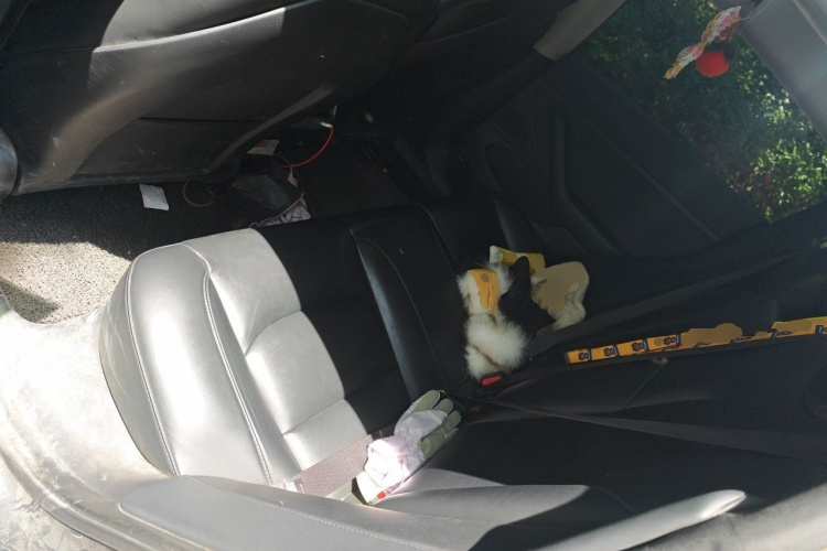 Tesla Model 3 2020 car image #10