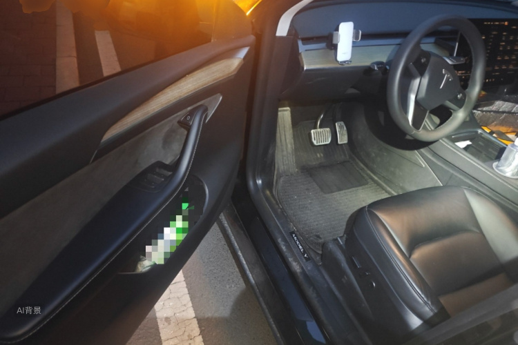 Tesla Model Y 2023 car image #18