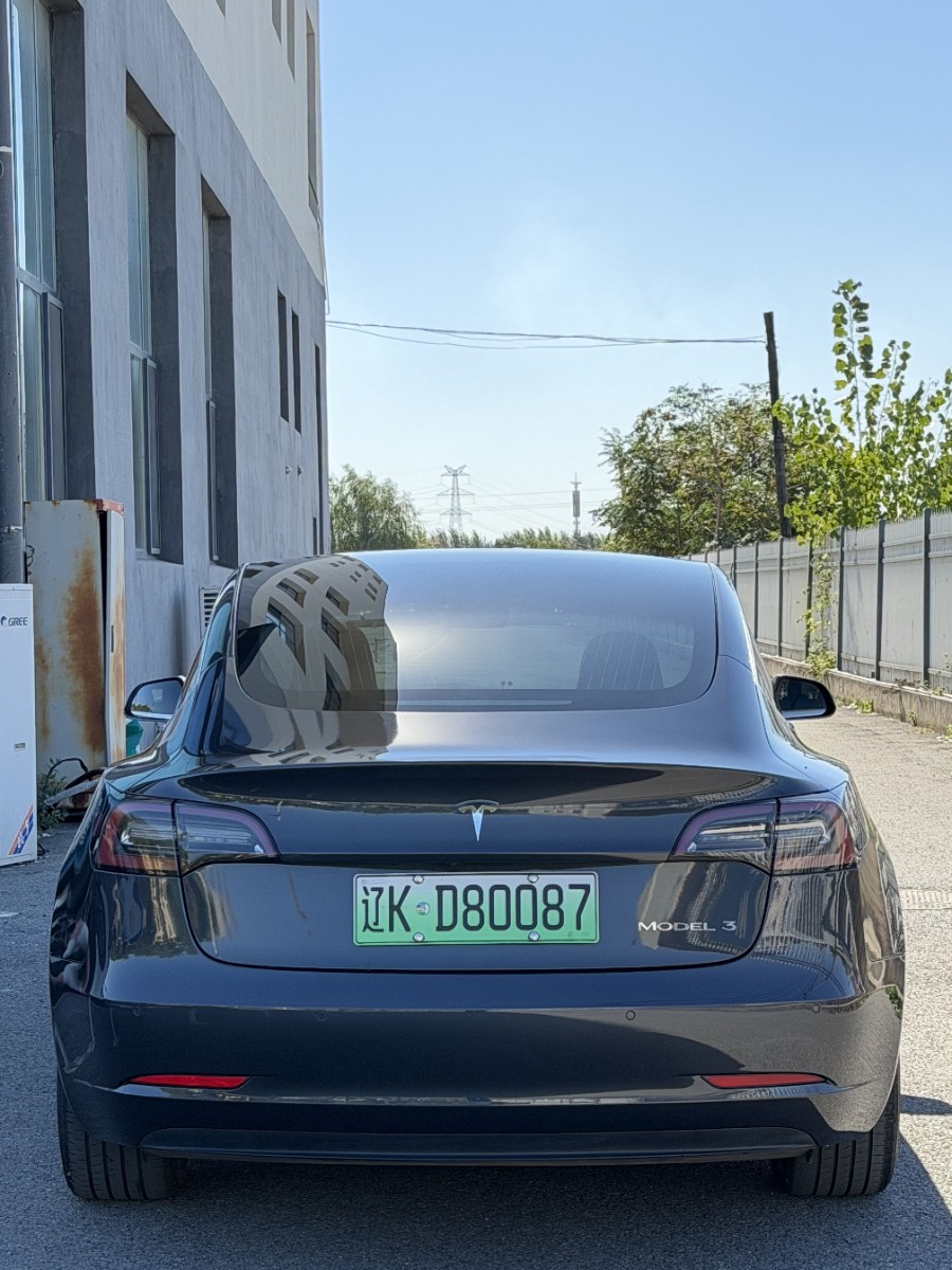 Tesla Model 3 2020 car image #5