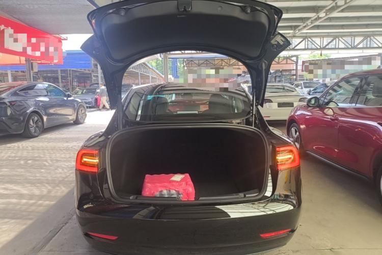 Tesla Model 3 2021 car image #21