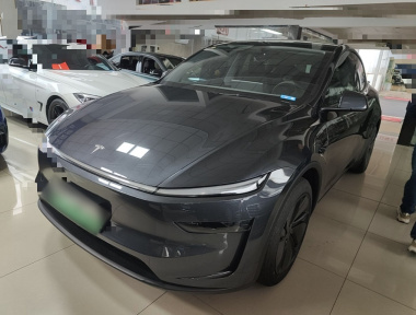 Tesla Model Y 2025 car image 
