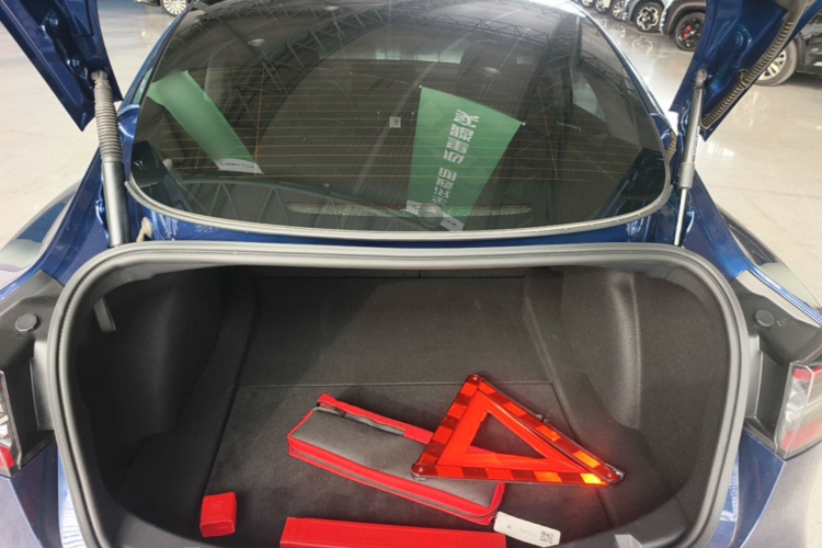 Tesla Model 3 2021 car image #19