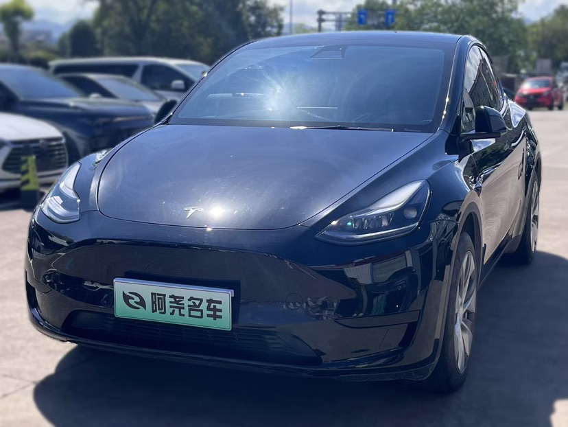Tesla Model Y 2023 Tesla Model Y 2023 car image