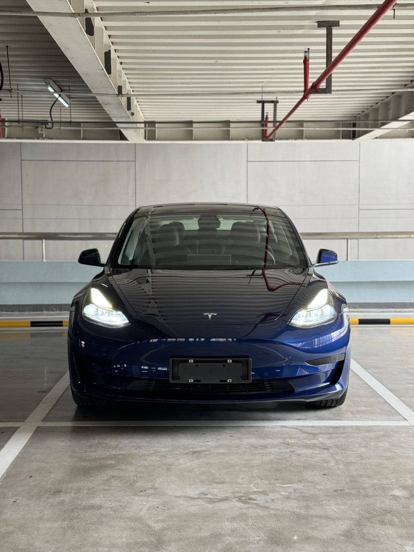 Tesla Model 3 2021 #3 Tesla Model 3 2021 car image #3