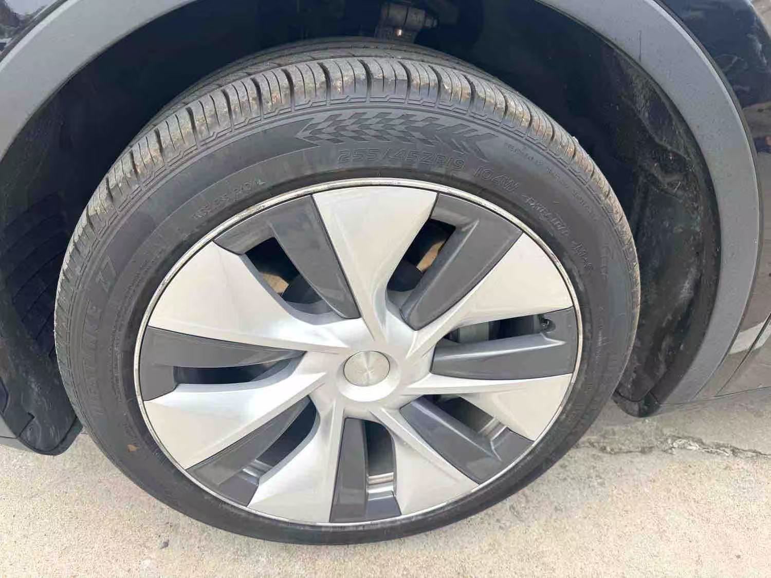 Tesla Model Y 2023 #3 Tesla Model Y 2023 car image #3