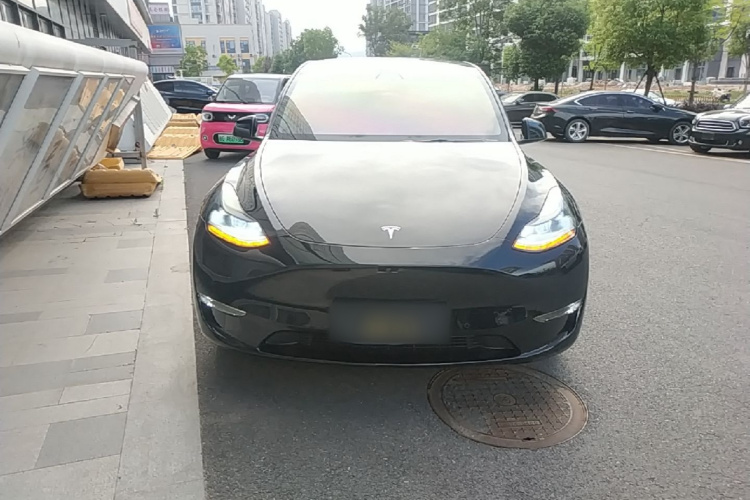 Tesla Model Y 2021 car image #3