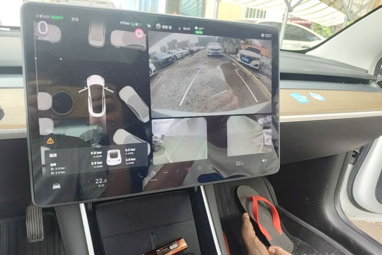 Tesla Model 3 2020 car image #13