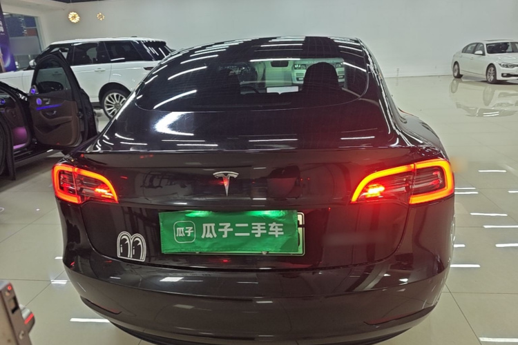 Tesla Model 3 2021 #6 Tesla Model 3 2021 car image #6
