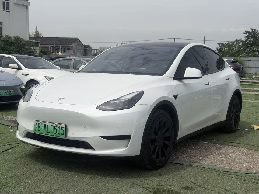 Tesla Model Y 2024 car image 