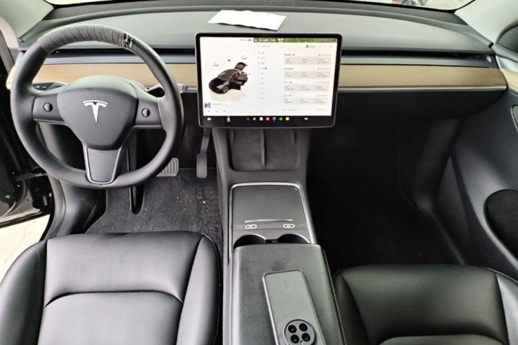 Tesla Model Y 2022 car image #10