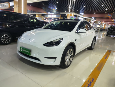 Tesla Model Y 2022 car image 