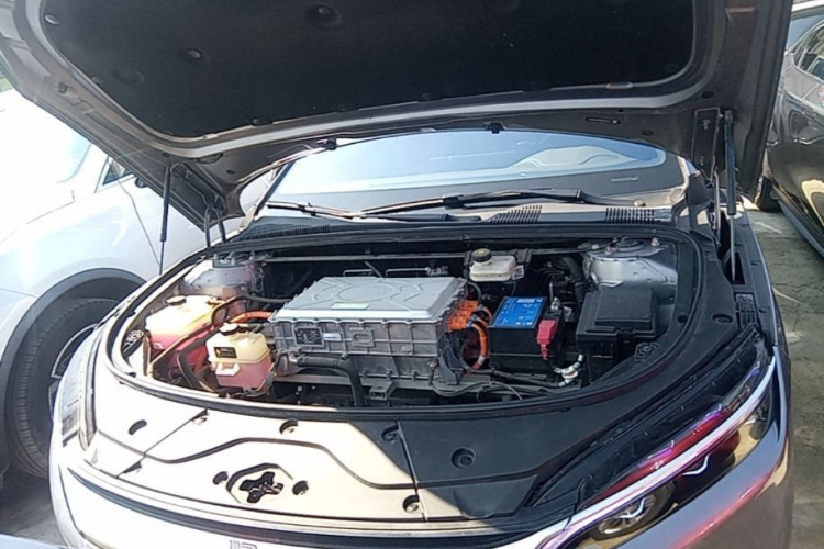 BYD Han 2022 imagen de coche #22