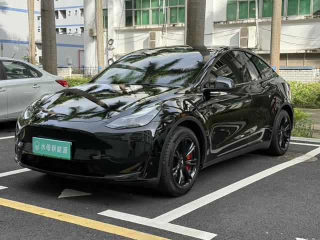 Tesla Model Y 2022 immagine di auto #14