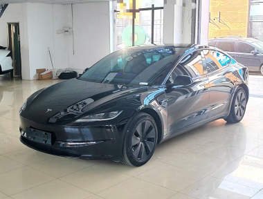 Tesla Model 3 2023 immagine di auto 